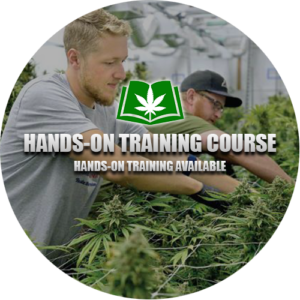 Hands on Marijuana Training Course
