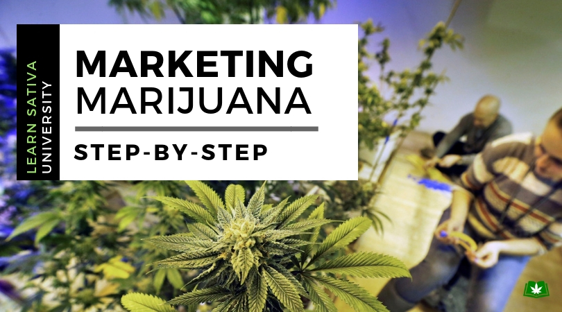 Cannabis Marketing - Learn Sativa University
