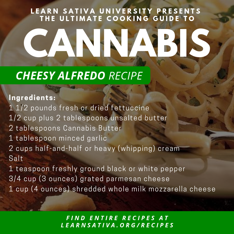 Edibles - Cannabis Cheesy Alfredo Marijuana Recipe