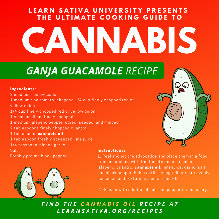 Edibles - Ganja Guac Marijuana Recipe