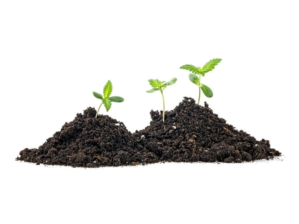 soil grower