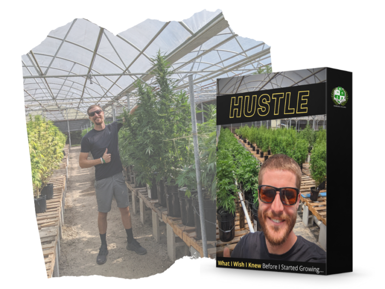 Marijuana Grow Book Patrick OBrien Learn Sativa University (4)