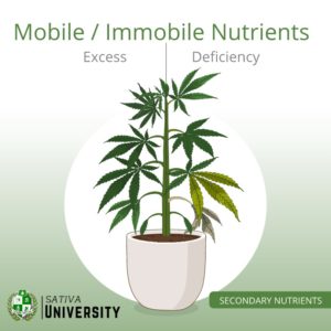 Mobile - Immobile Nutrients