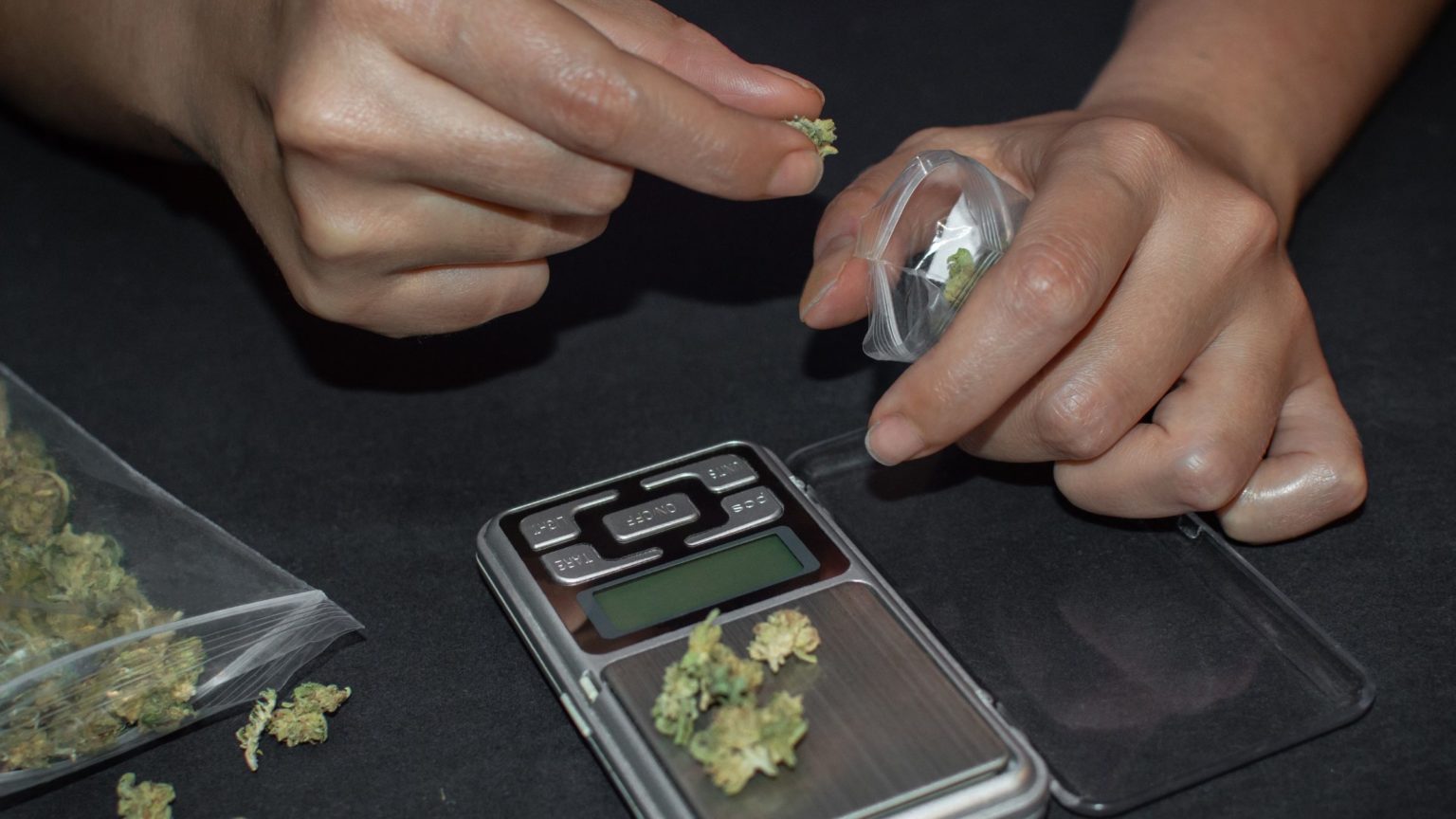 weighing out cannabis