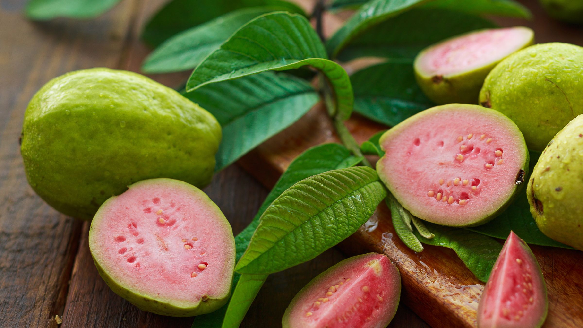 Guava Cake Strain Review