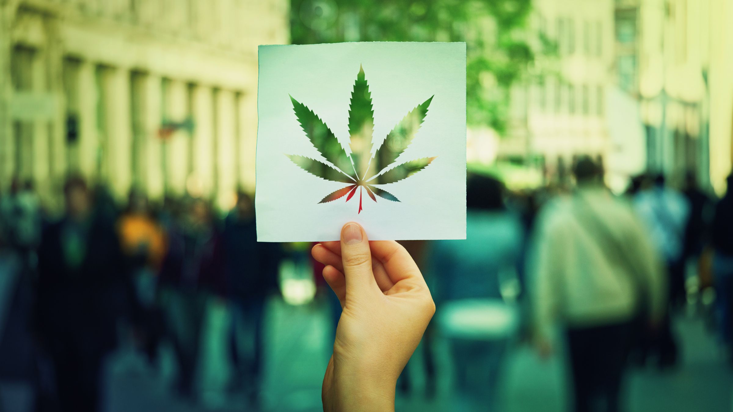 These States May Legalize Marijuana Soon