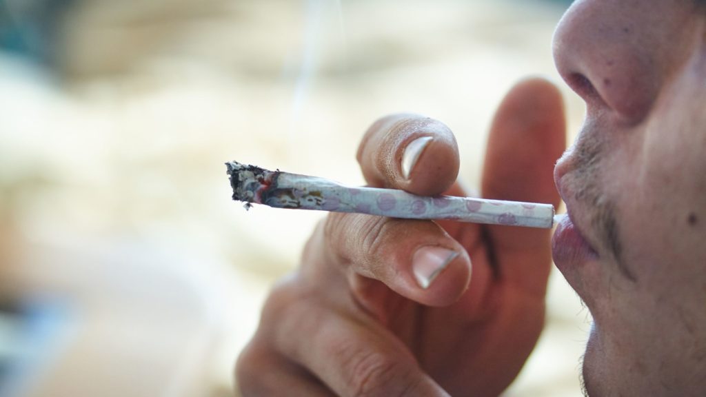 New Study reveals stoners are not lazy
