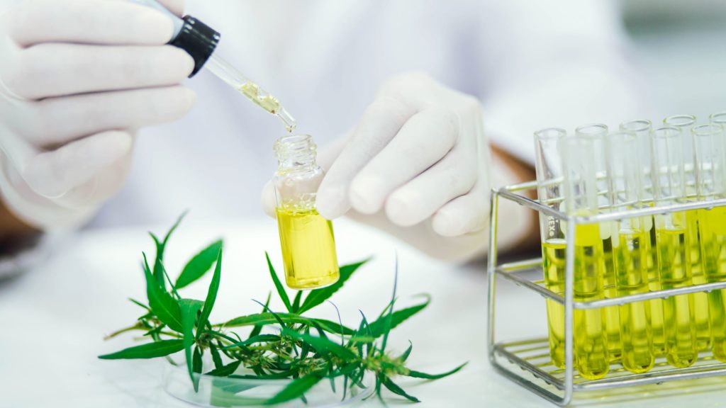 cannabis testing in the workplace
