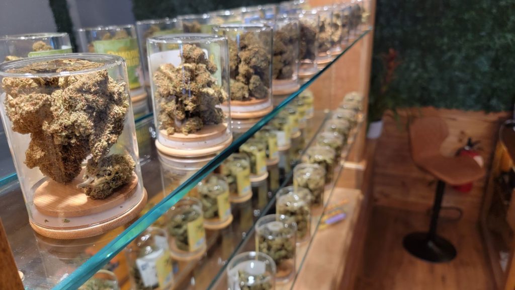 How to open a dispensary (18)